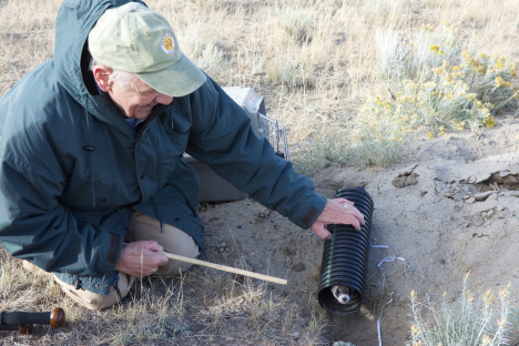 Black-footed ferret release outside Meeteetse, Wyoming, 2017. Kimberly Fraser/U.S. Fish and Wildlife Service.
